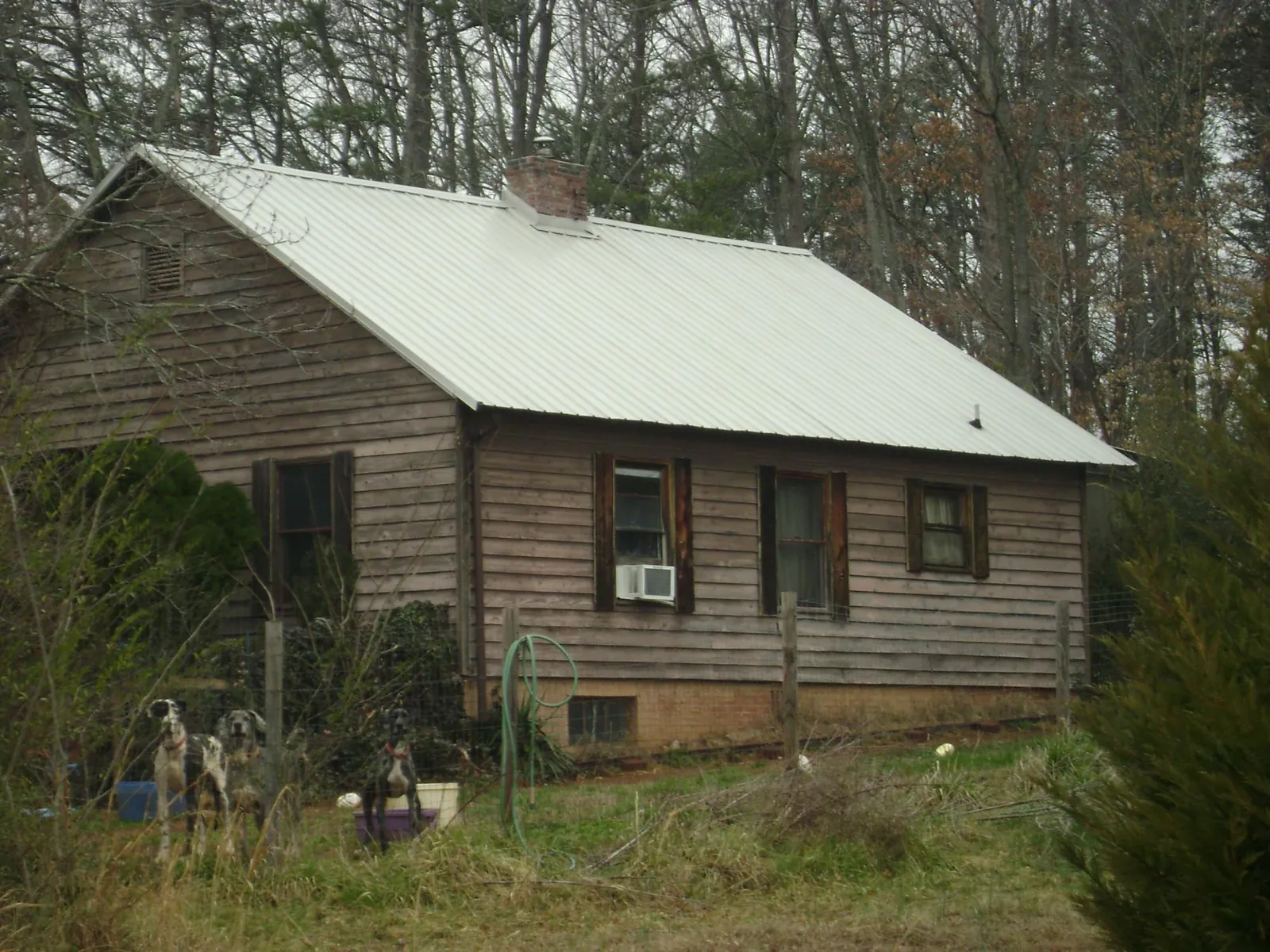 White metal roof on an old wood sided farmhouse, from a Metal Roof Installation job in Portola Valley